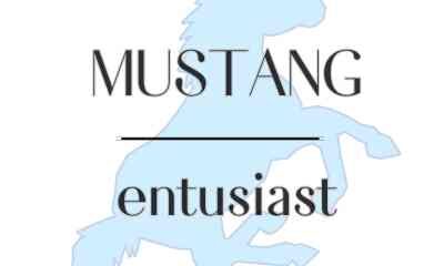 Mustang entusiast